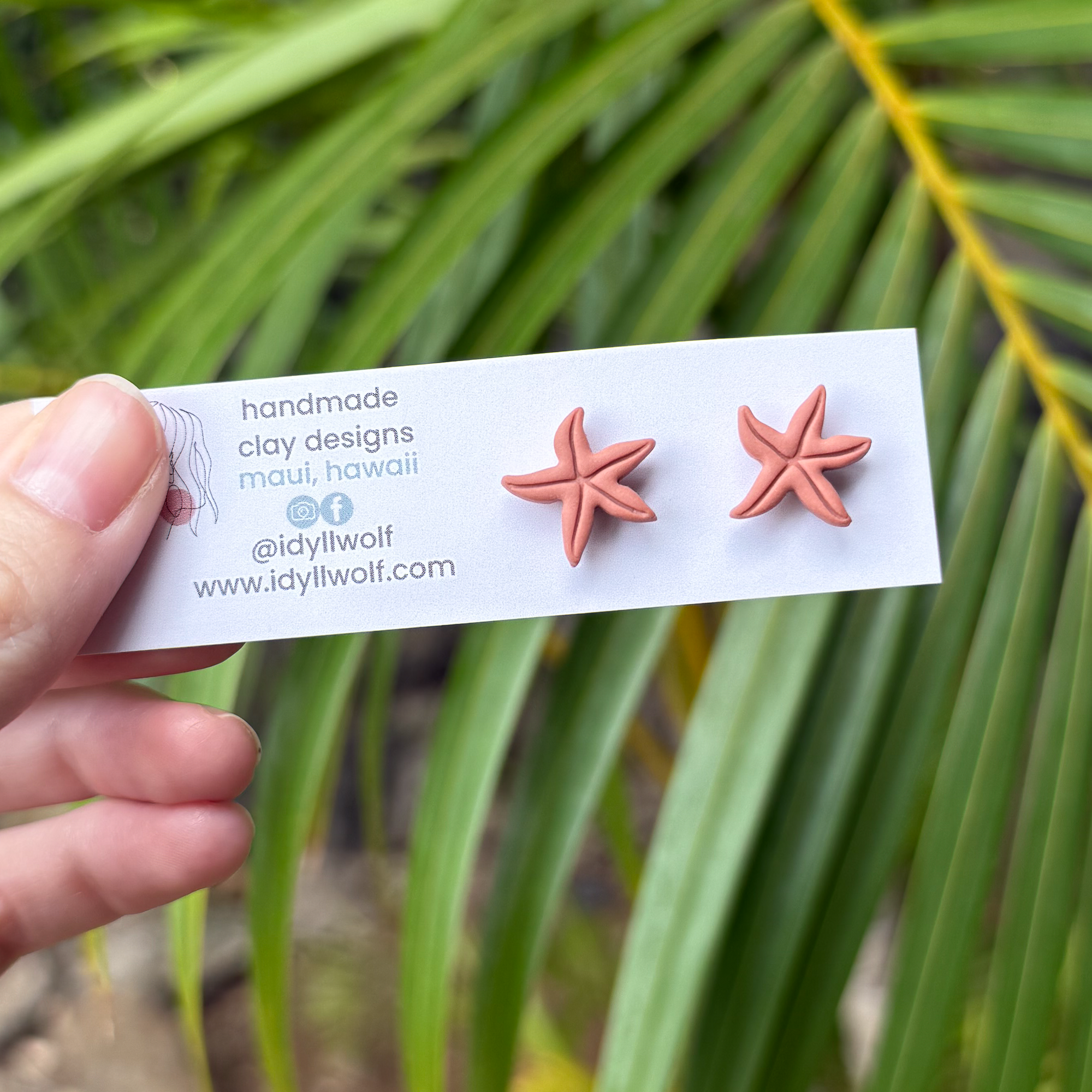 Starfish studs