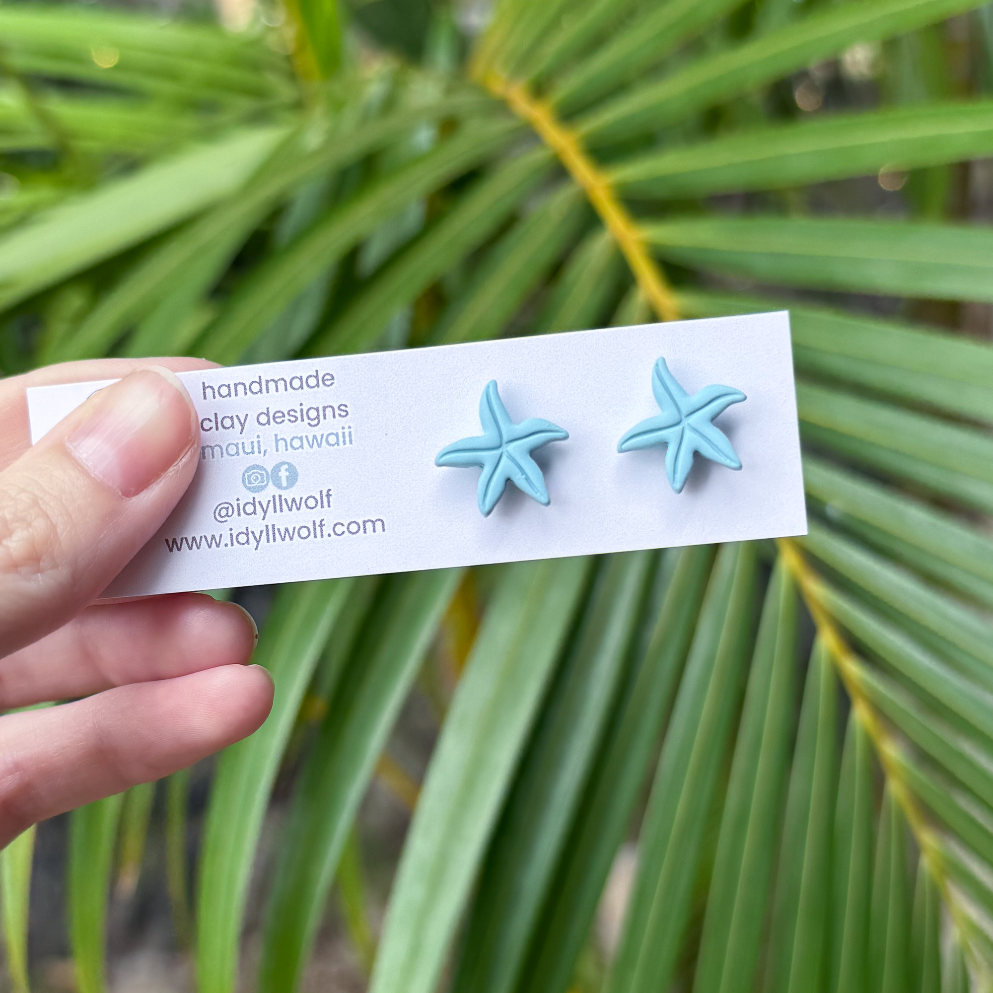 Starfish studs