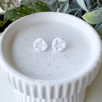 Sand dollars