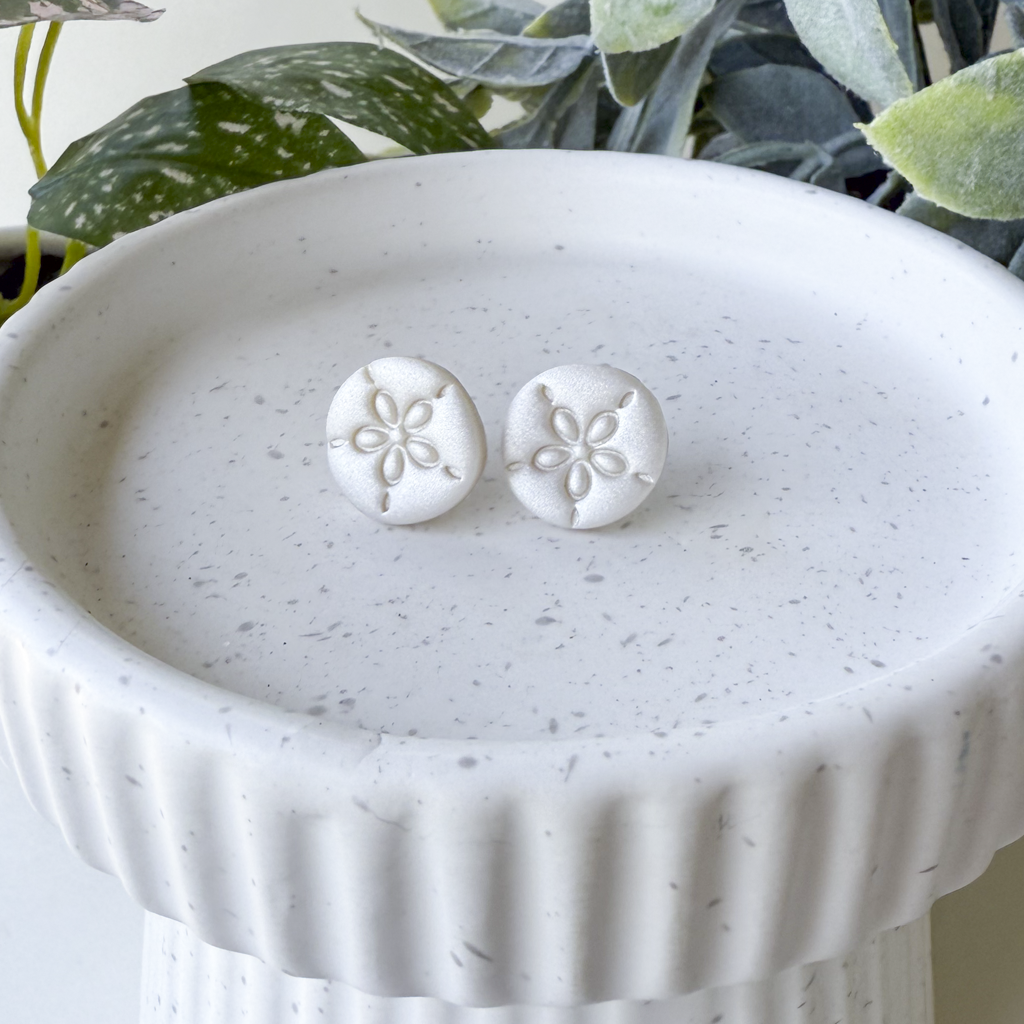 Sand dollars