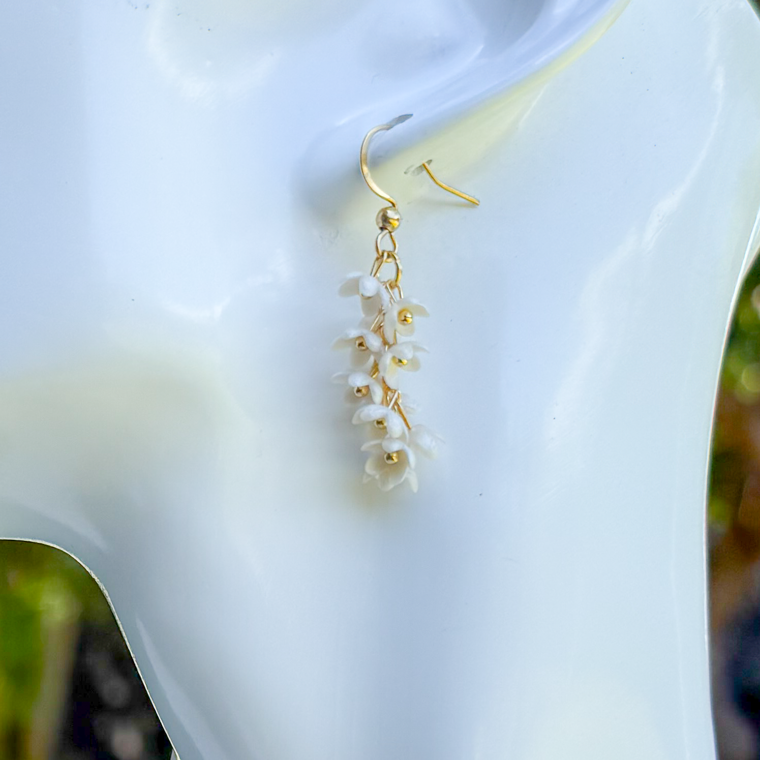 Wisteria - pearl