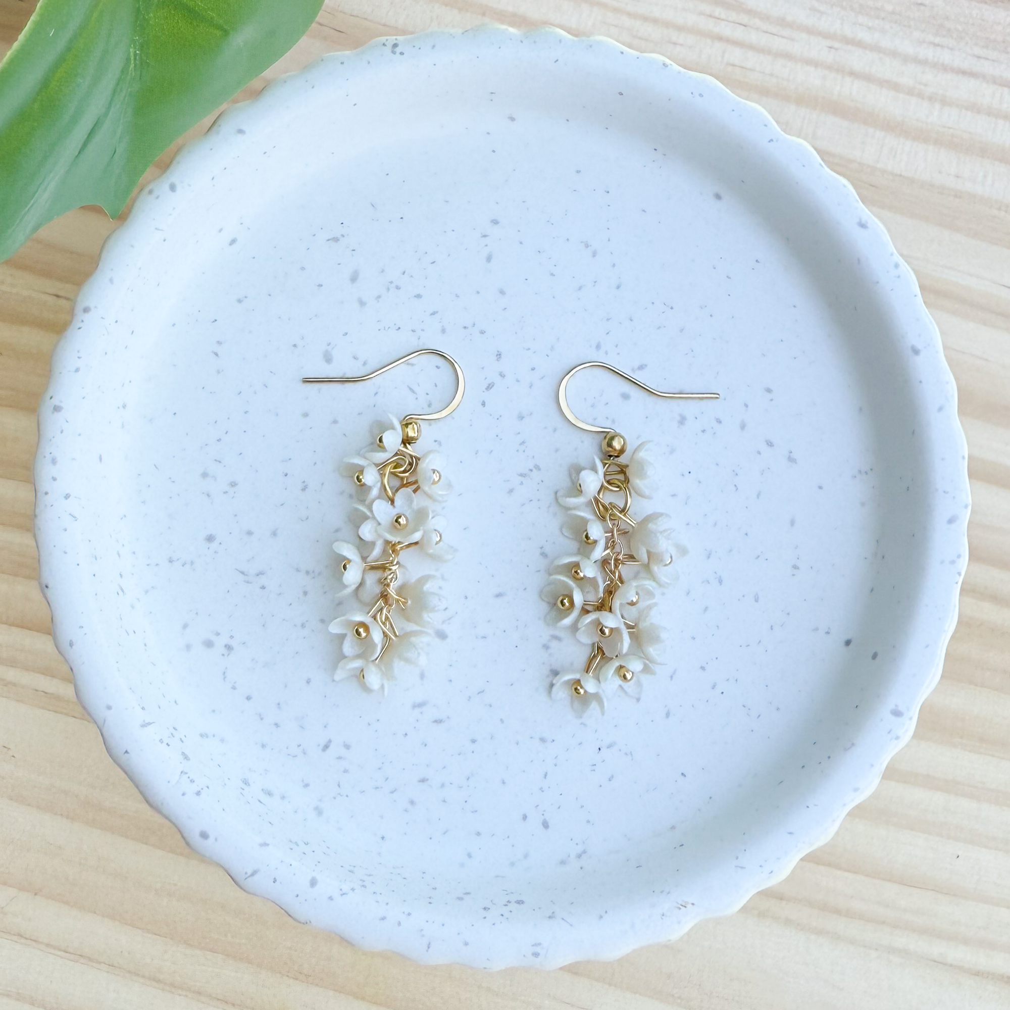 Wisteria - pearl